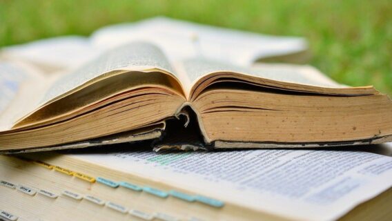 Provérbios do dia (23/01/2021): leitura para o seu sábado