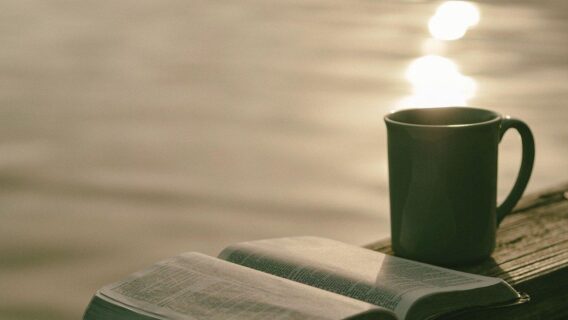 Provérbios do dia para buscar a sabedoria hoje (25/01/2021)