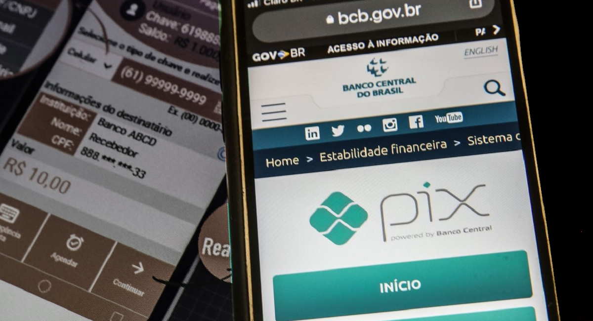 tela de acesso ao esocial e sistema de pagamentos PIX