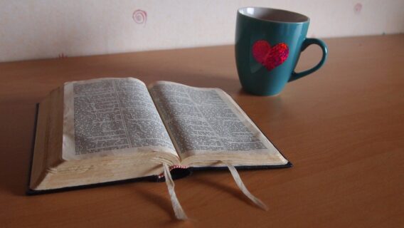 Versículo do dia: leitura bíblica para força e fé (31/01/2021)