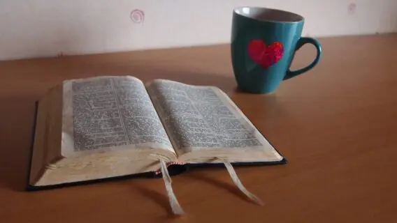 Versículo do dia: leitura bíblica para força e fé (31/01/2021)