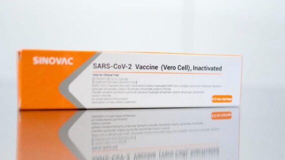 Vacina aprovada: brasileiros comemoram com chuva de memes