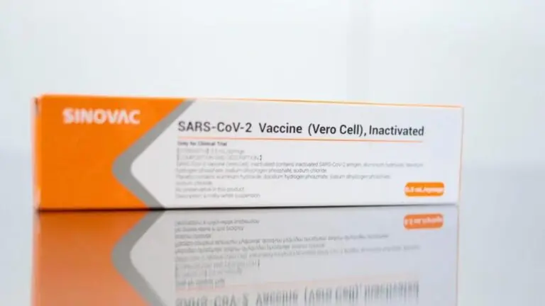 Vacina aprovada: brasileiros comemoram com chuva de memes