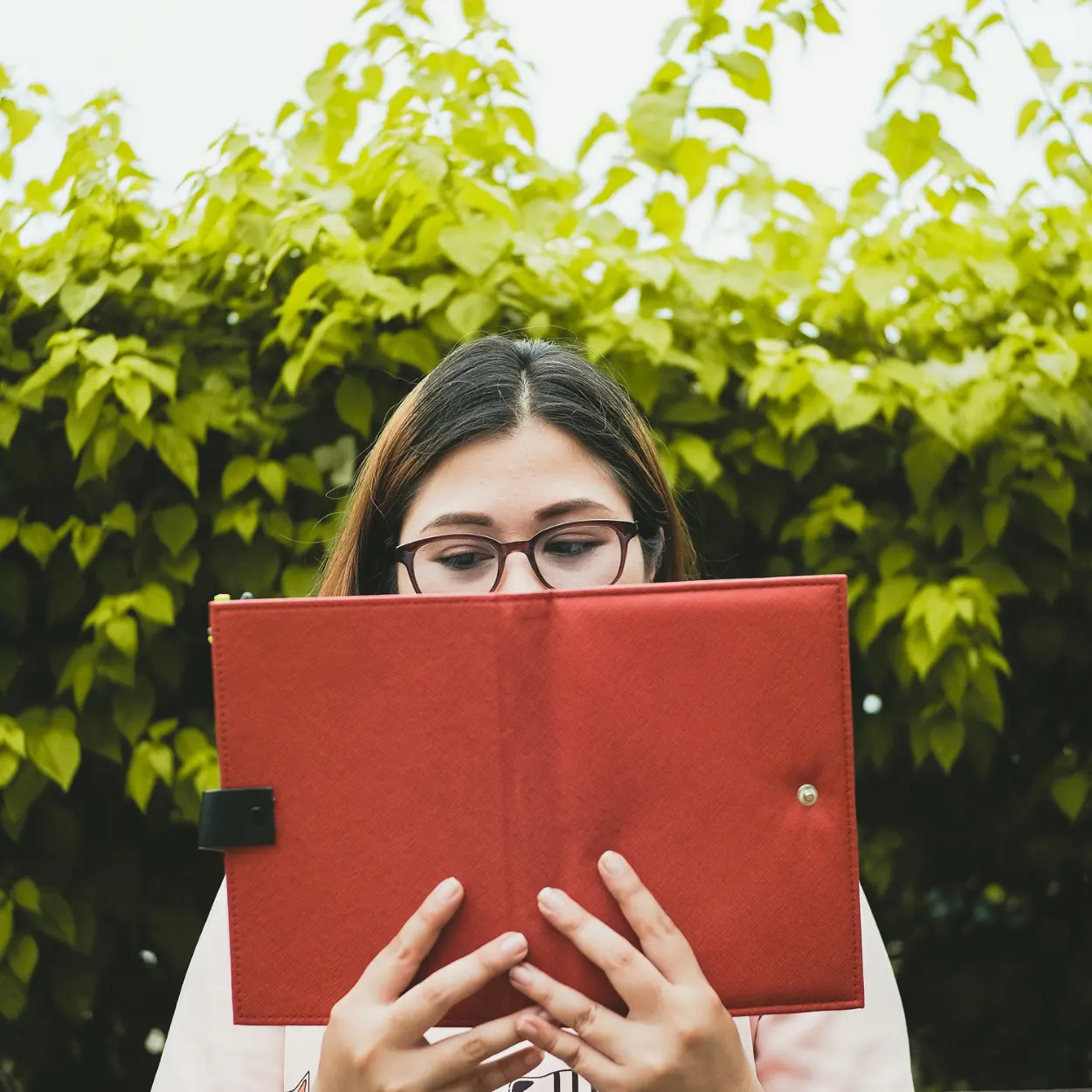 finanças para mulheres