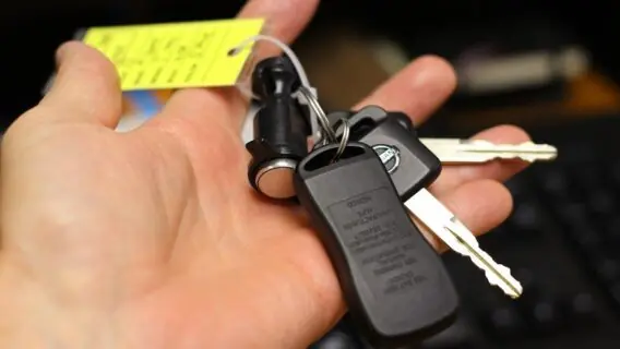 Detran-SP disponibiliza documento digital de transferência; saiba solicitar