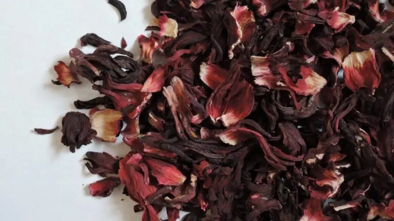 Banho de hibisco para o amor: aprenda a usar essa energia