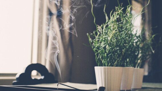 Dia de Reis: aprenda rituais para esse dia especial