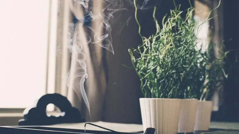 Dia de Reis: aprenda rituais para esse dia especial