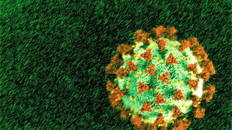 Covid-19: as vacinas são eficazes contra mutações que surgirem?