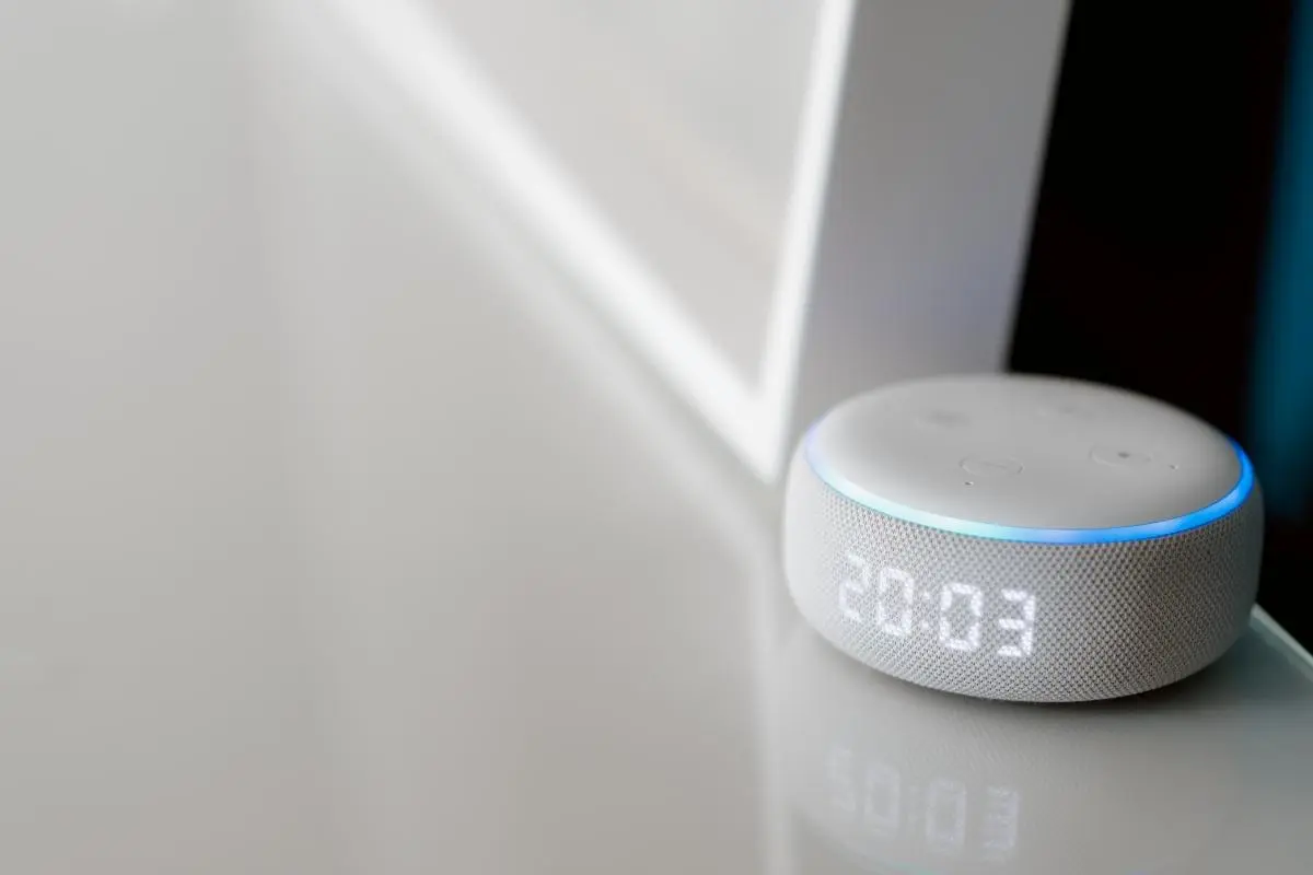 Echo Dot e Google Nest Mini