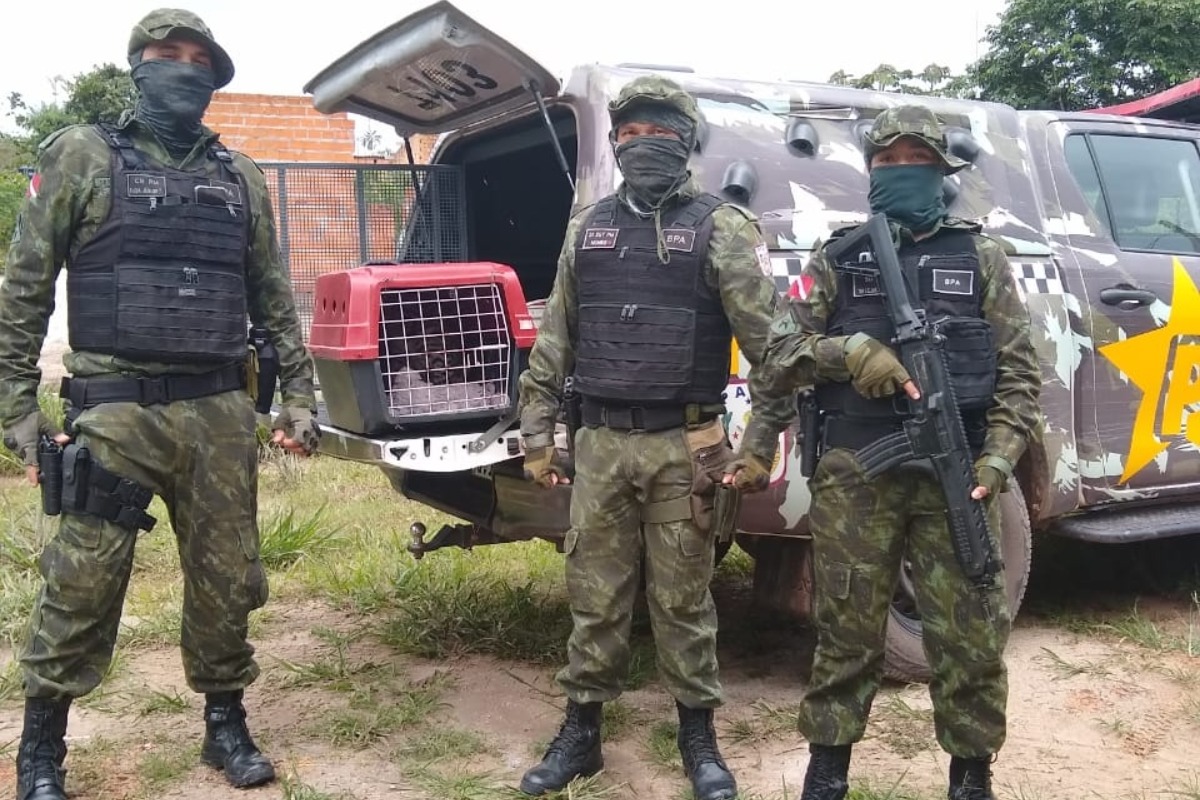 Imagem mostra três agentes policiais Jaguatirica