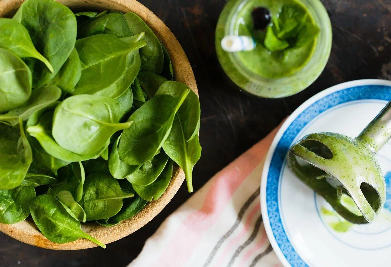 receitas com espinafre