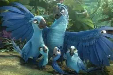 Rio 2 - Cena do filme da sessão da tarde de hoje