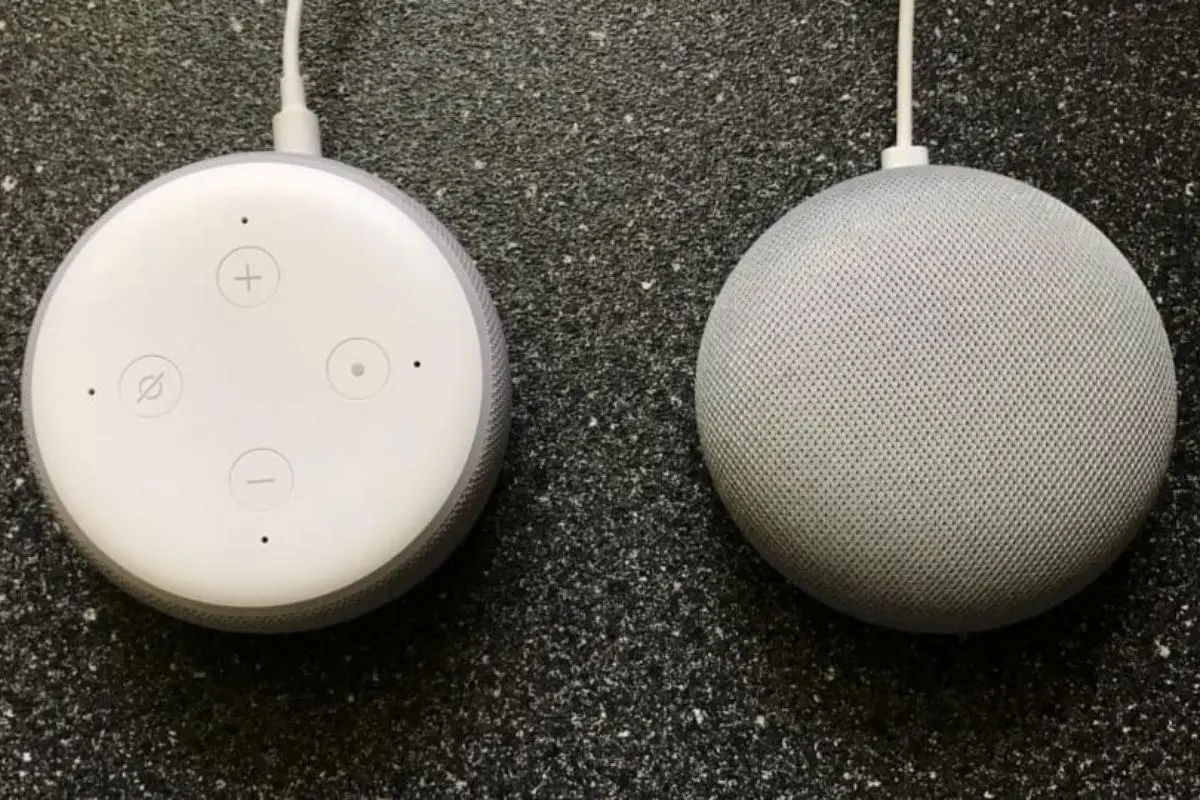 Echo Dot e Nest Mini