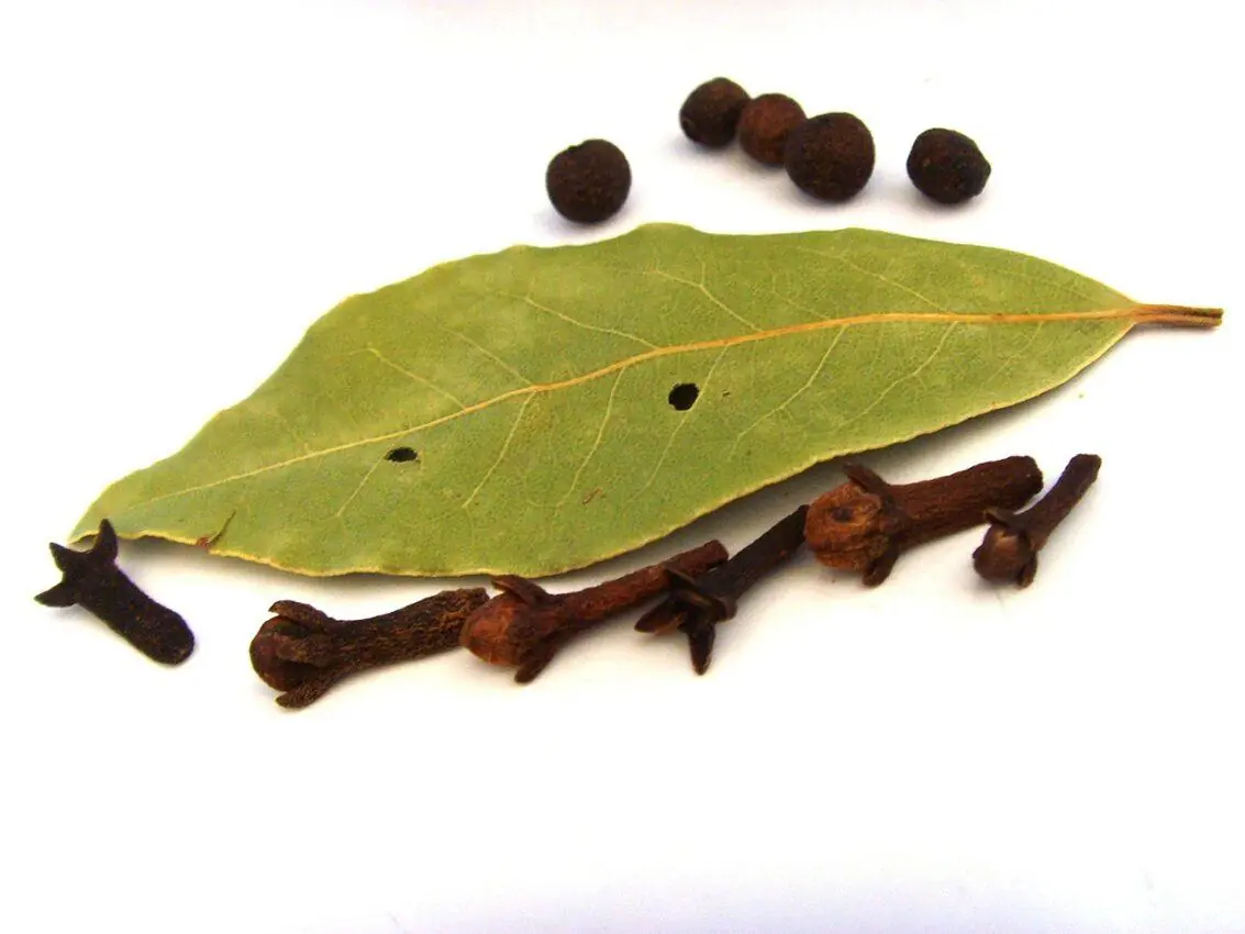 Banho de Cravo