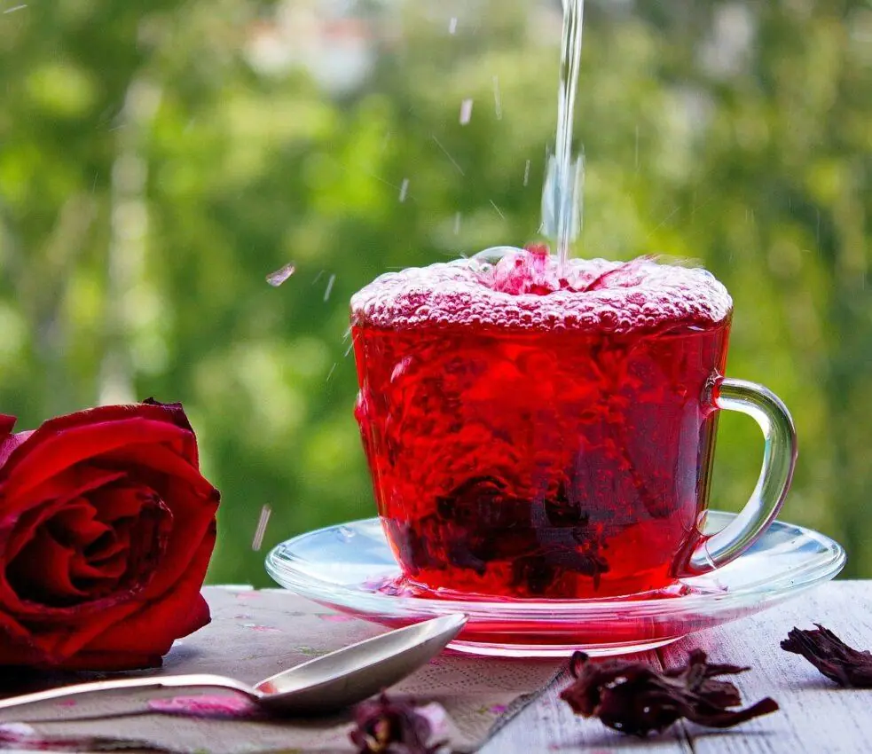 Banho de Hibisco para o Amor