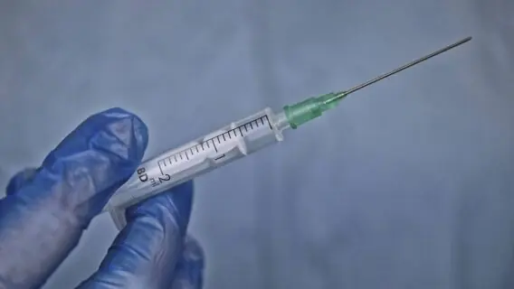 Saiba como denunciar falsa aplicação da vacina contra Covid-19