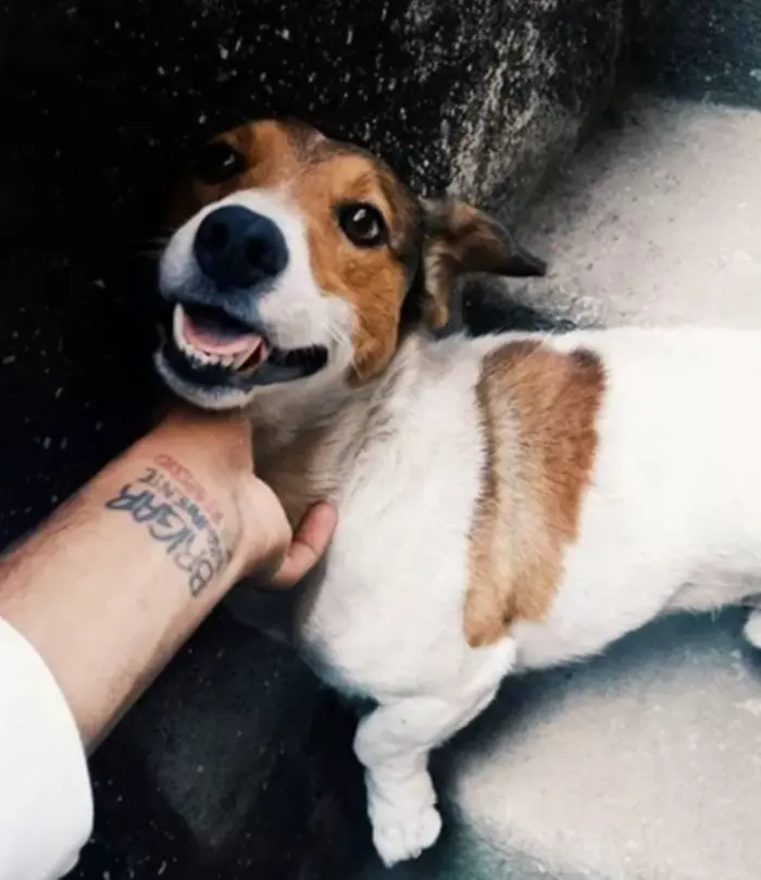 imagem mostra Tatuagem de João Luiz BBB 21 