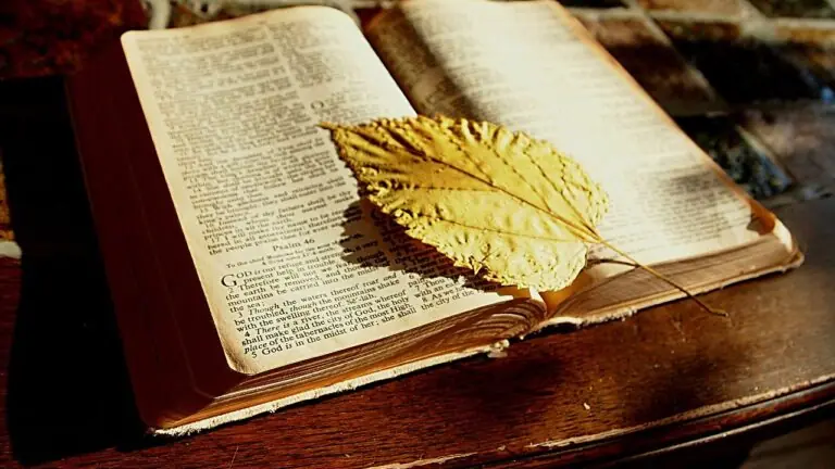 Provérbios de hoje (03/02/2021): leitura para uma vida abençoada