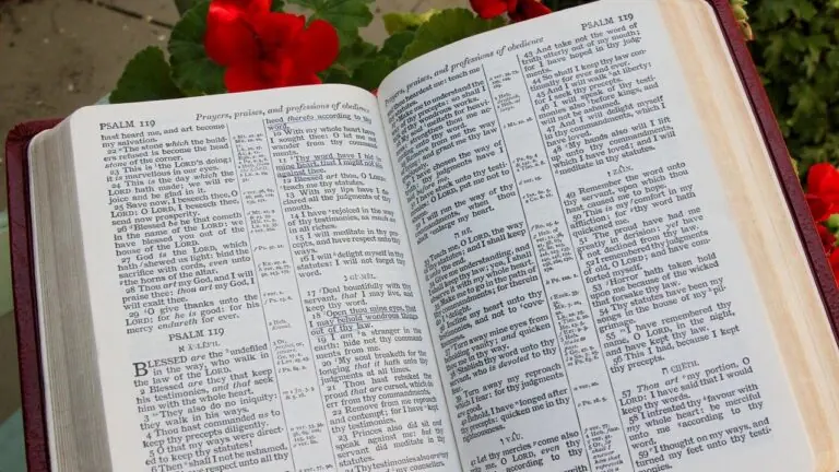 Salmo do dia (14/02/2021) para um domingo de paz