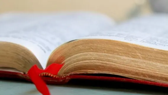 Versículo do dia (14/02/2021): comece seu dia com o amor de Deus