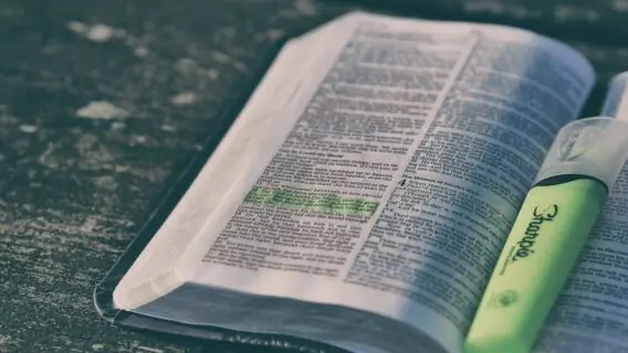 Versículo do dia 4/2/2021: leitura de esperança diária