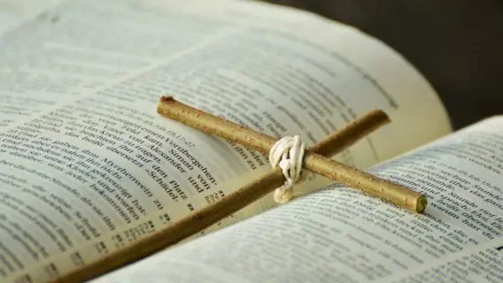 Salmo do dia 28/02: comece seu domingo com esperança