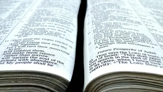 Provérbios de hoje (10/02/2021): comece seu dia com ânimo