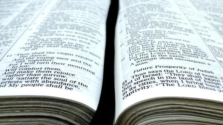 Provérbios de hoje (10/02/2021): comece seu dia com ânimo