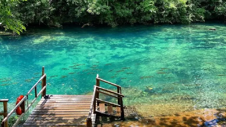 Bonito em Mato Grosso do Sul: quanto custa e o que conhecer