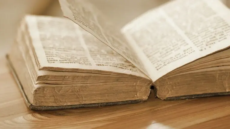 Provérbios de hoje (7/2/2021): comece seu dia com sabedoria