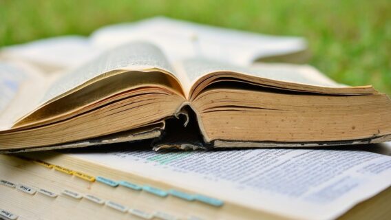 Provérbios de hoje (16/02/2021): leitura para buscar a sabedoria