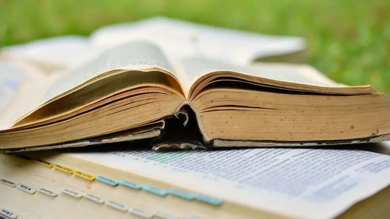 Provérbios de hoje (16/02/2021): leitura para buscar a sabedoria