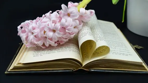 Versículo do dia, quarta-feira, dia 17 de fevereiro de 2021 (17/02)