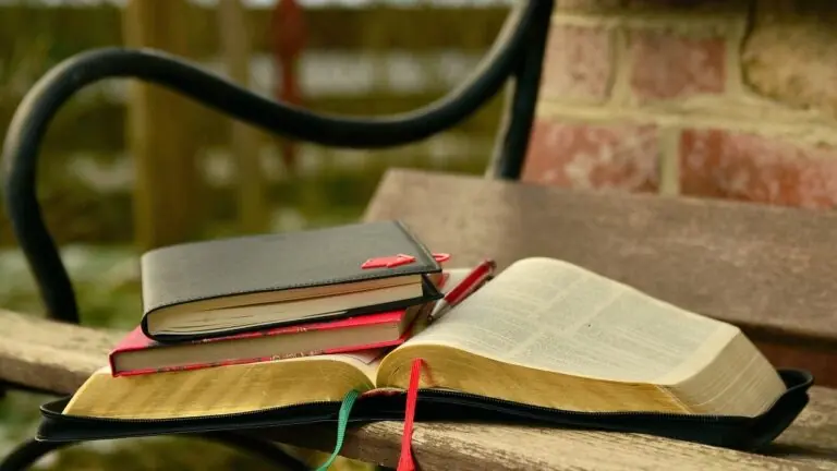 Versículo do dia (9/2/2021): leitura para ser fiel a Deus