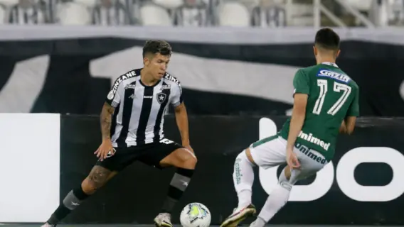 Goiás x Botafogo (13/2): onde assistir e escalações da partida