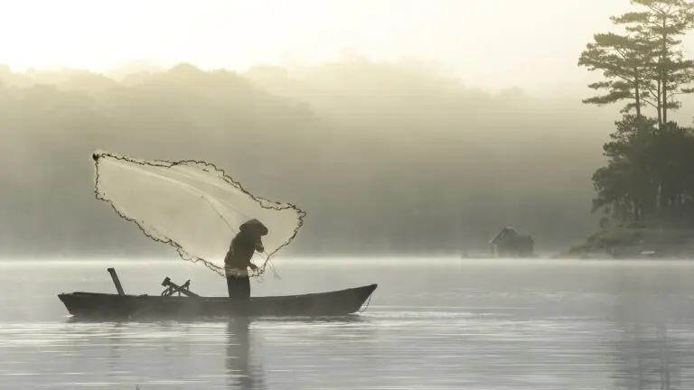 Como solicitar e consultar habilitação do seguro defeso?