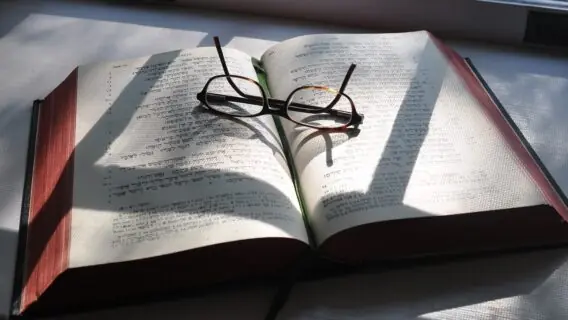 Versículo do dia – 11/02: leitura de esperança em Deus