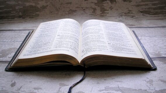 Provérbios de hoje (17/02/2021): comece seu dia com ânimo