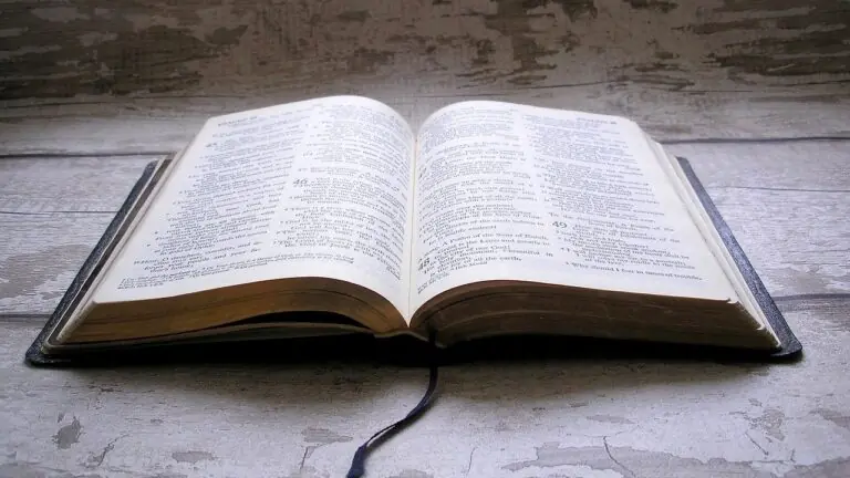 Provérbios de hoje (17/02/2021): comece seu dia com ânimo