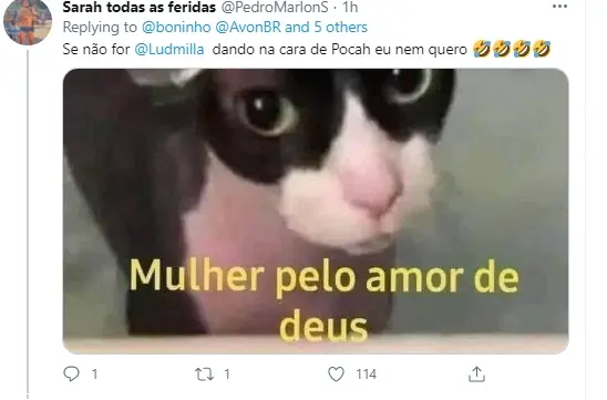 Na imagem internautas falam da festa de sábado no BBB21