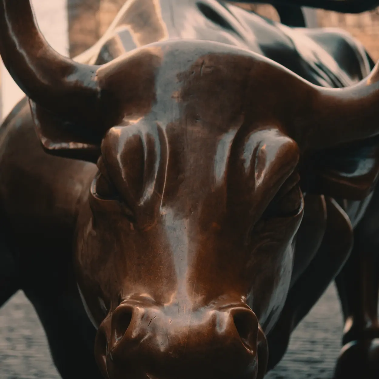 touro representando alta no mercado de ações IPO