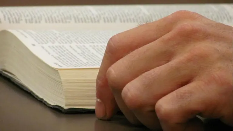 Provérbios de hoje (13/02): comece sua dia com alegria