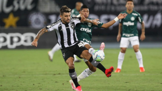 Palmeiras x Botafogo (2/2): onde assistir e escalações do jogo