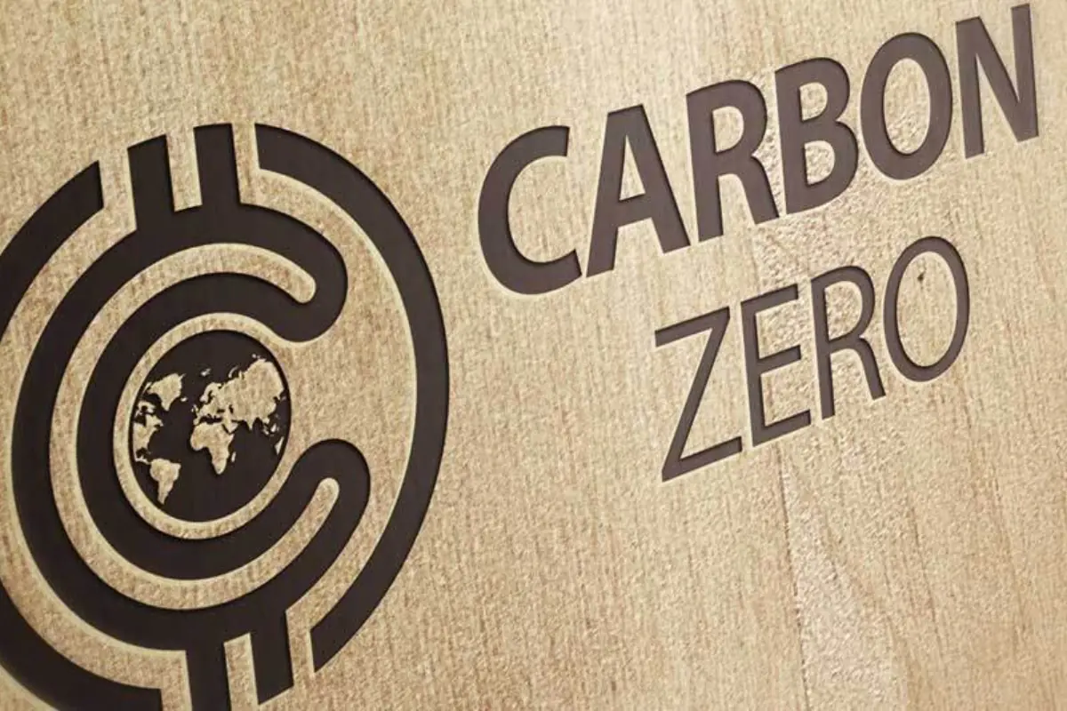 Imagem mostra escrita "Crédito de carbono" em uma madeira