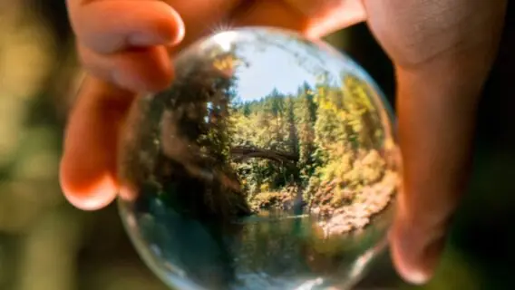 O que é preciso para gerar crédito de carbono e negociar no mercado?