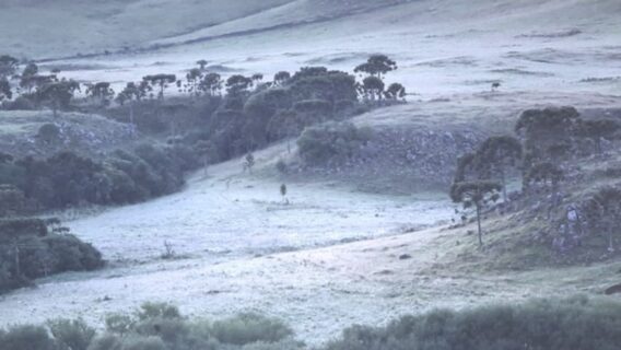 FOTOS: Serra catarinense geada em pleno verão