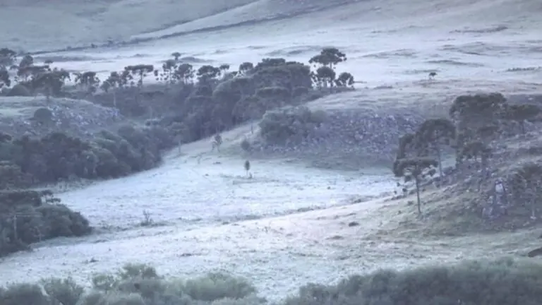 FOTOS: Serra catarinense geada em pleno verão