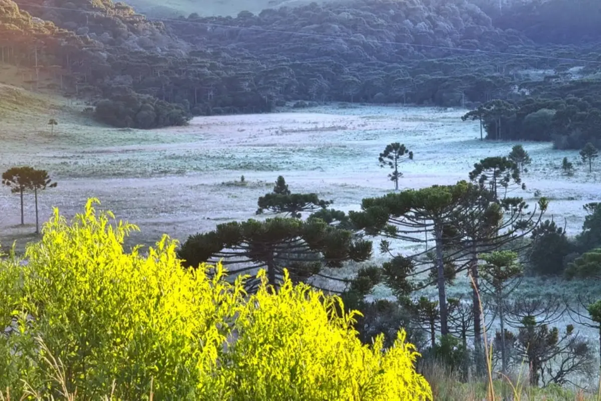 Imagem mostra serra catarinense coberta por neve