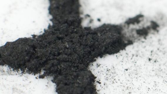 Saiba o que é a Quarta-feira de cinzas e o significado da tradição